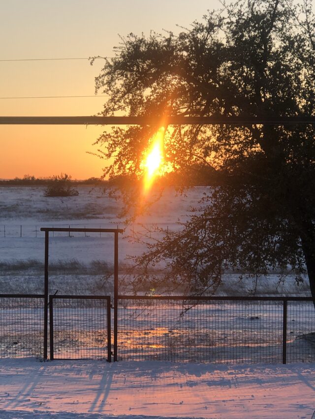 Snowy Sunset and Ice Ninja